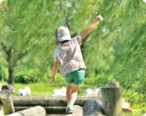 アスレチックで遊ぶ子どもの後ろ姿の写真